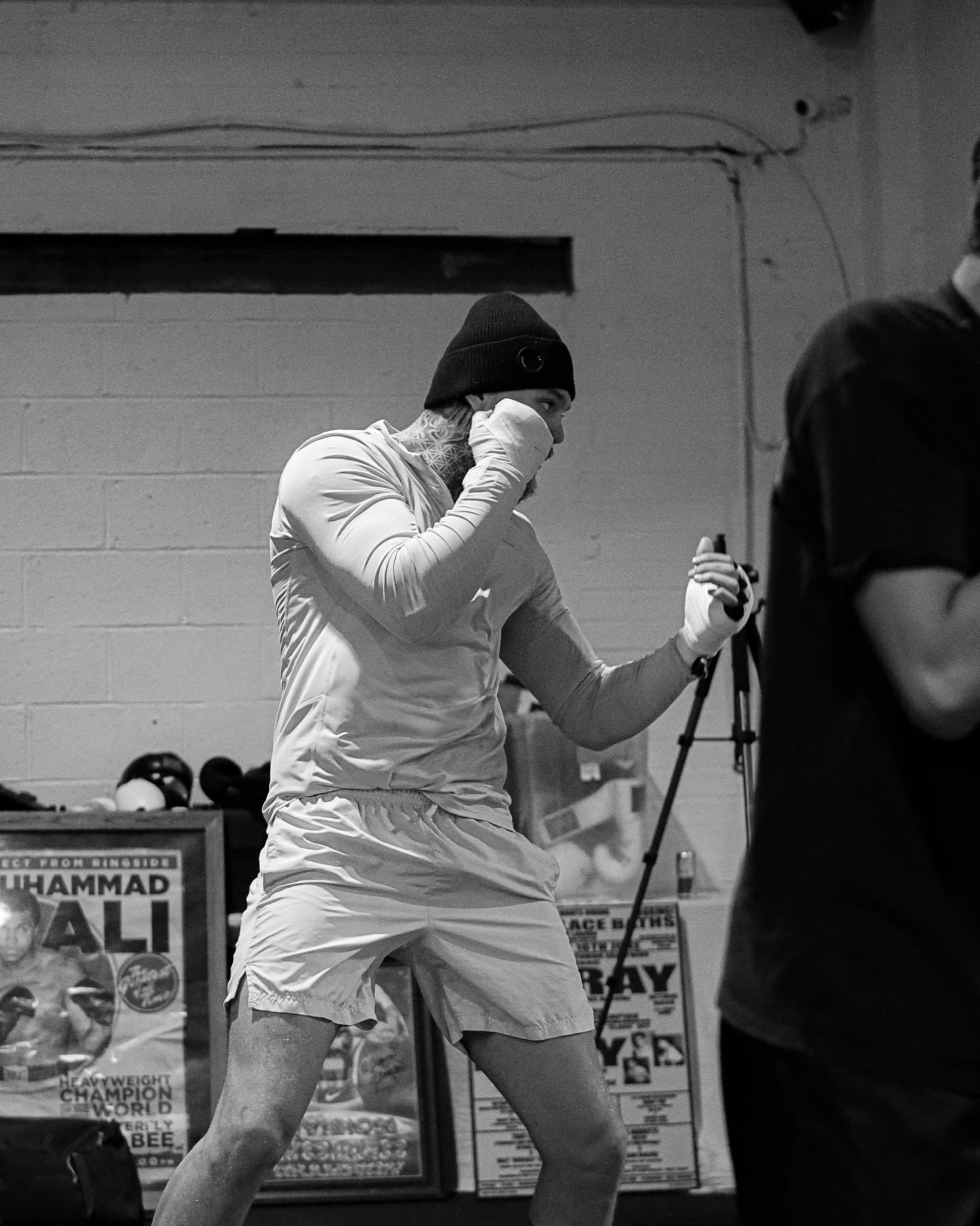 Boxer black and white