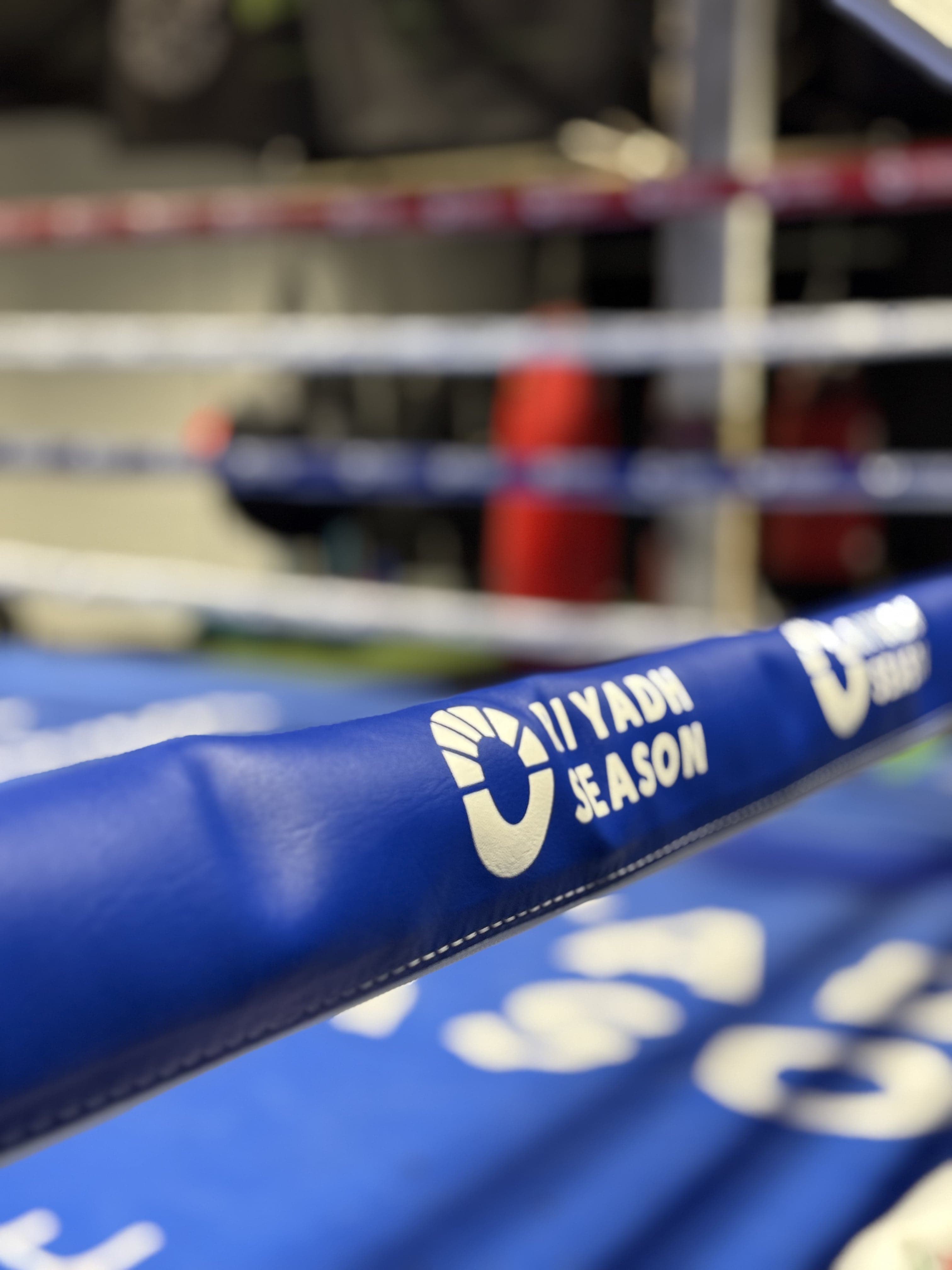Boxing ring rope view