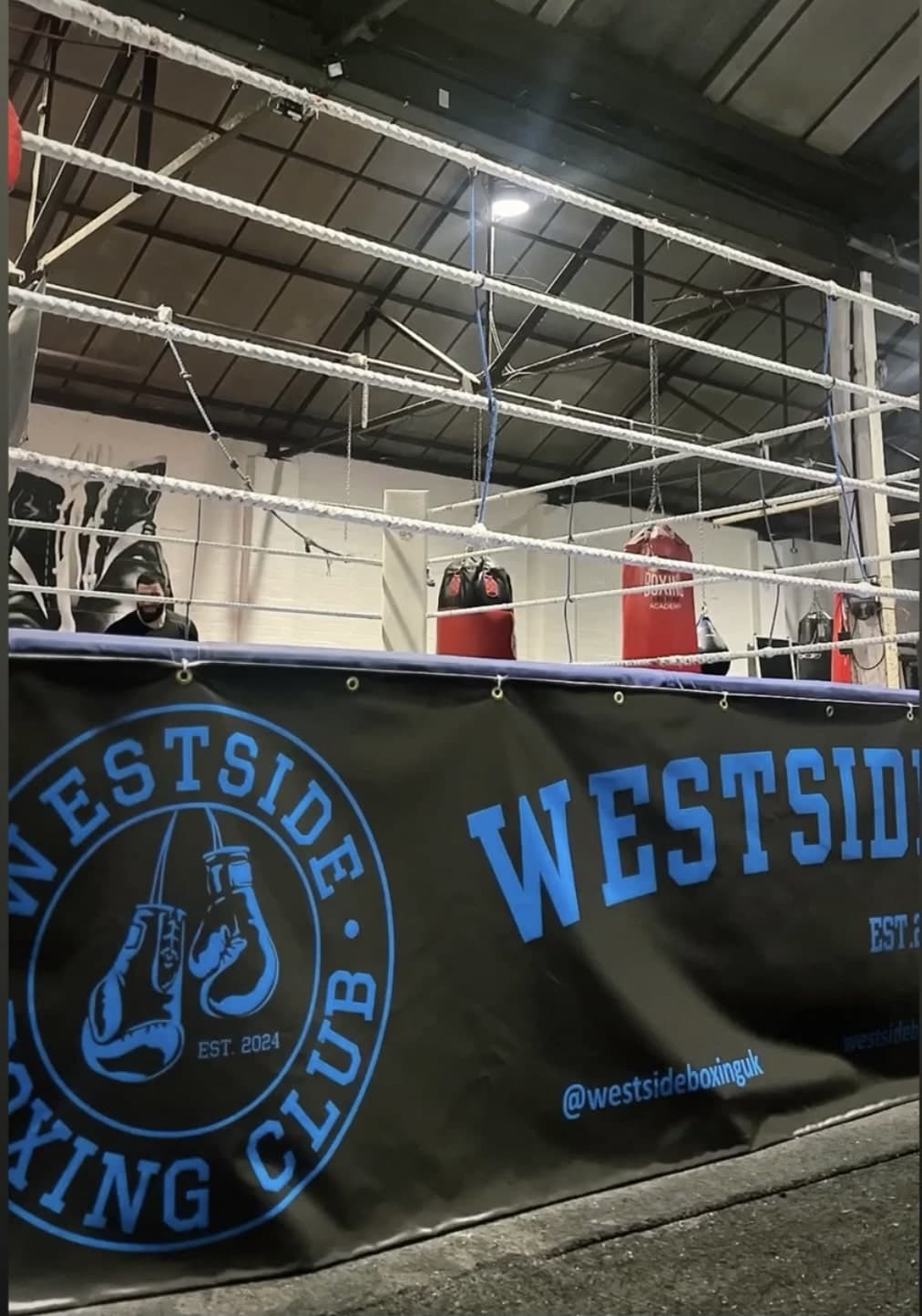 Boxing ring side view